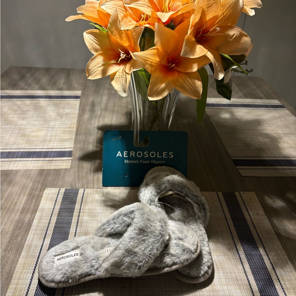 Aerosols house shoes